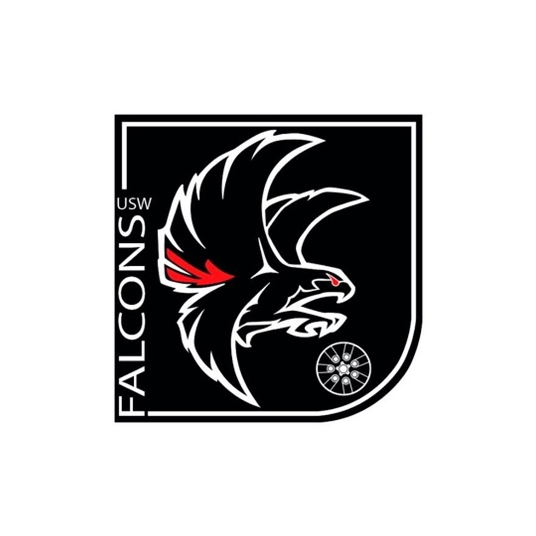 University of South Wales